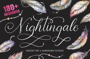 Nightingale script & bonus clip arts. Font Download