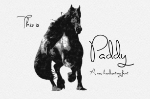 Paddy Font Download