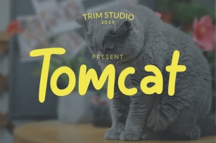 Tomcat - Cheerfull Day Font Font Download
