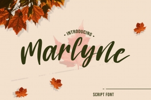 Marlyne Script Font Font Download