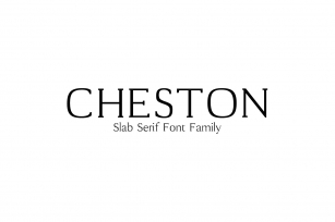Cheston Slab Serif 5 Font Family Font Download