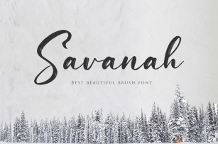 Savanah, a Brush Script Font Font Download