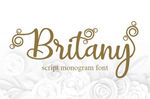 Britany Script Monogram Font Font Download