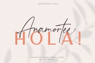 Anamortee  Modern Calligraphy Font Font Download