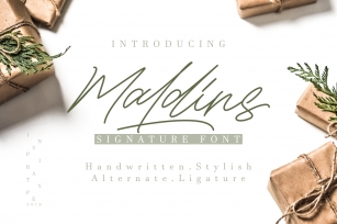 Maldins - Stylish Signature Font Font Download