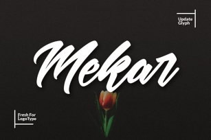 Mekar Script (Update) Font Download