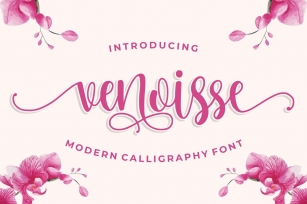 Venoisse - Modern Calligraphy Font Download