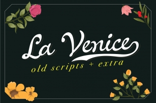 La Venice Script Font Download