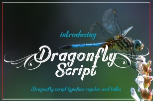 Dragonflayscript Font Download