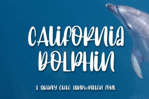 California Dolphin Quirky Handwritten Font Download
