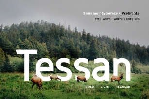 Tessan Sans - Modern Typeface WebFont Font Download