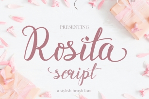 Rosita script - stylish brush font Font Download