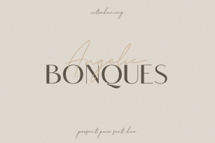Angelic Bonques - Font Duo Font Download
