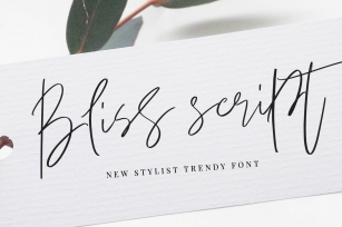 Bliss Script Stylist! Font Download
