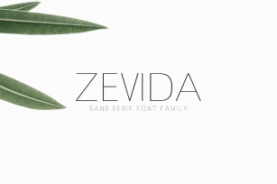 Zevida 4 Sans Serif Font Family Font Download