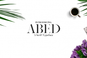 Abed Serif 5 Font Family Pack Font Download