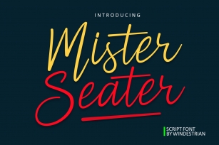 Mister Seater | Script Font Font Download