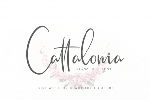 Cattalonia Signature Font Font Download