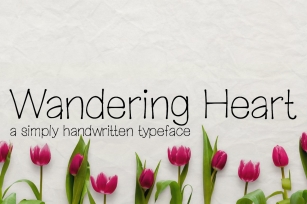 Wandering Heart- Handwritten Font Font Download