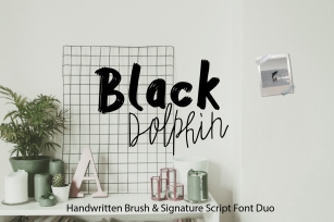 Black Dolphin |Multilingual Sans & Signature Font Duo Font Download