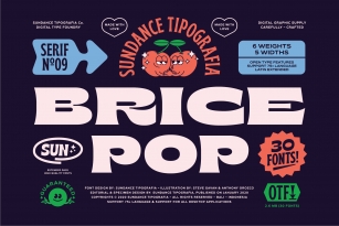 Brice Font Family Font Download