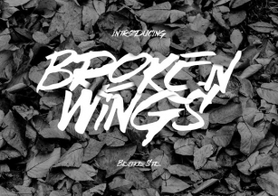 Broken Wings Typeface Font Download