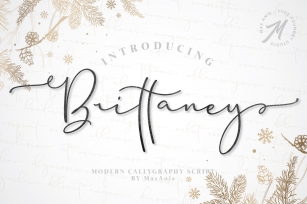Brittaney - Modern Calligraphy Font Font Download