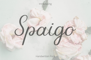 Spaigo. Handwritten script font Font Download
