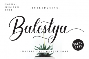 Balestya Script 40 OFF Font Download