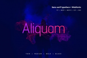 Aliquam - Modern Typeface WebFonts Font Download