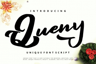 Queny | Unique Font Script Font Download