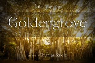 Goldengrove Font Font Download