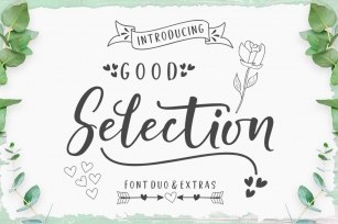 Good Selection Font Duo & Extras Font Download