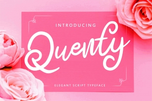 Quenty - Elegant Script Typeface Font Download