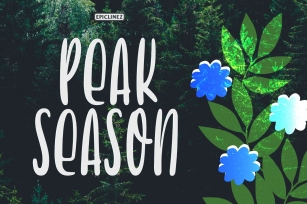 Peak Season - Display Font Font Download