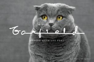Garfield Modern Signature Font Download