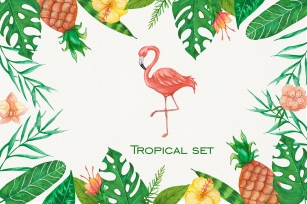 Tropical set of watercolor elements with flamingo Font Download