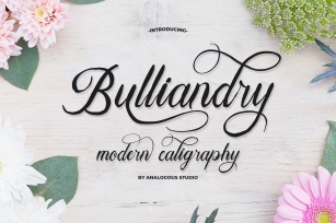 Bulliandry | Modern Calligraphy Font Download