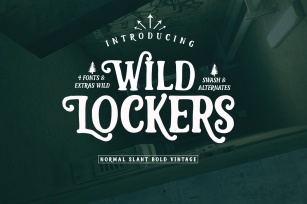 Lockers Font Font Download