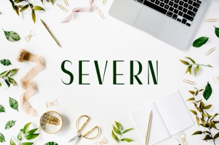 Severn Sans Serif Font Family Font Download