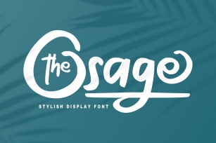 The Osage | Stylish Display Font Font Download