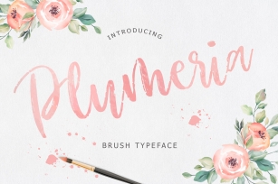Plumeria Brush Script Font Font Download