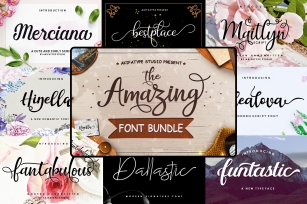 The Amazing Font Bundle - Vol I Font Download