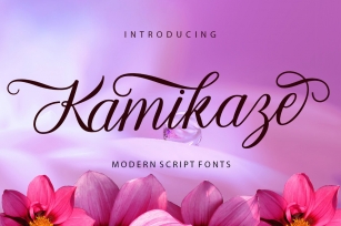 Kamikaze Script Font Download