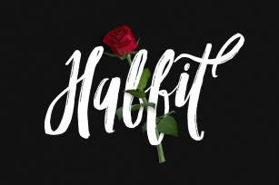 Habbit Typeface Font Download