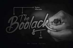 Boolack Elegant Handwritten Typeface Font Download