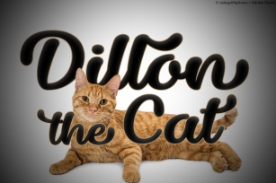 Dillon the Cat Font Download