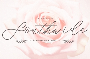 Southwide Feminine Script Font Font Download