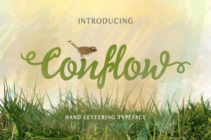 Conflow Typeface Font Download