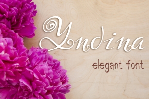 Yndina elegant font Font Download